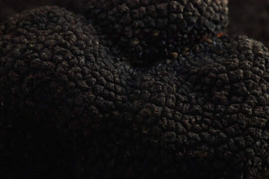 Black Truffle.
