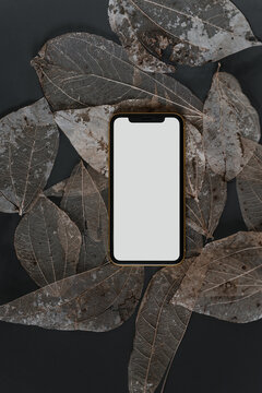 Mobile phone with blank screen on table with leaves