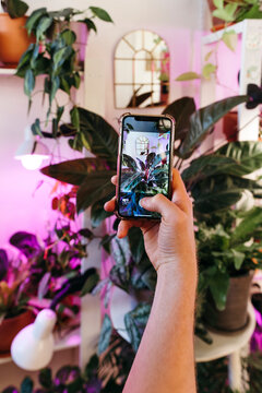 A man artisan takes photos of his indoor plants.