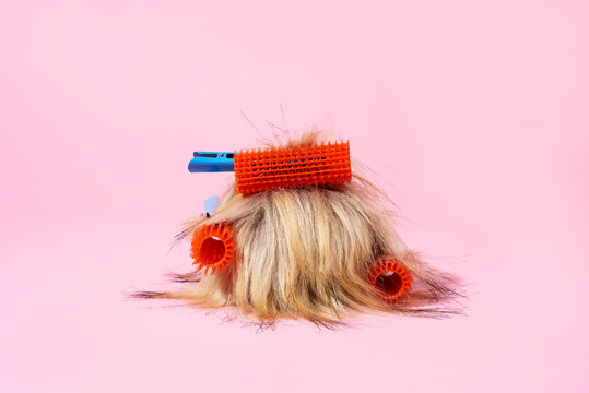 curlers on a ball of hair