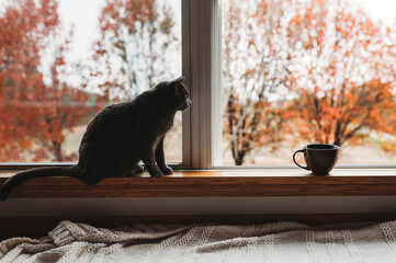 Coffee by the window 