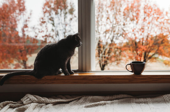 Coffee by the window 