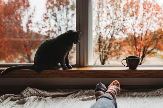 Coffee by the window 