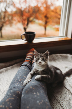 Fototapeta Coffee by the window 