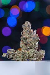 Cannabis Flower Macro - Strain: Gelato Cake
