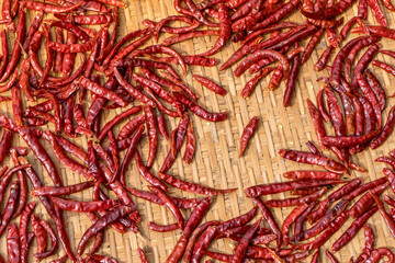 large dried chili sunbathing on the cage