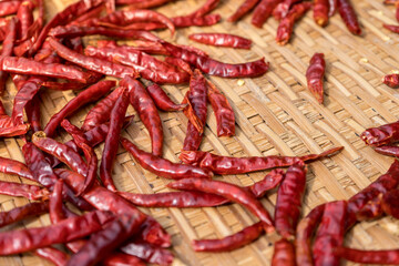 large dried chili sunbathing on the cage