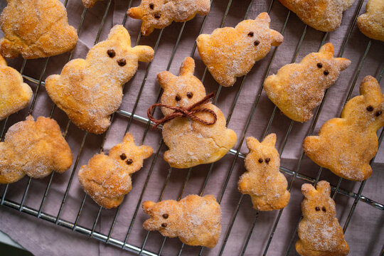 Traditional Easter bunny quark pastries  
