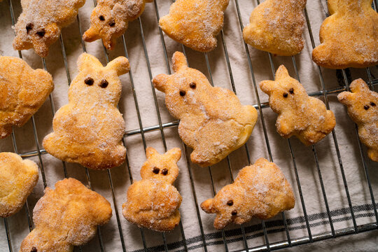 Sugar and cinnamon sprinkled Easter bunny quark pastries 