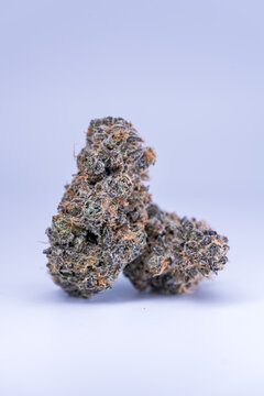 Cannabis Flower Macro - Strain: Bonkers