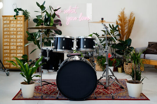 Drums and plants in light studio
