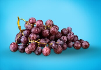 Obraz premium Grape.