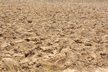 The drought will destroy the crops that are grown. The plant will dry up on hot soil.