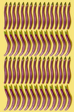 long japanese eggplants mosaic
