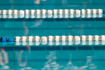 swimming pool in the pool
