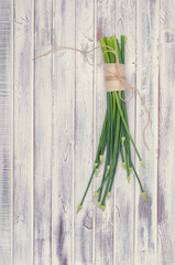 Stems green onion flowers