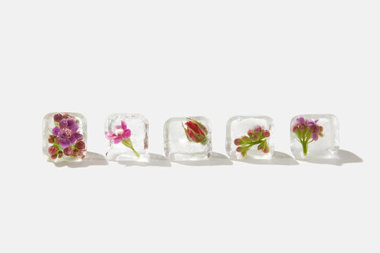 Ice cubes with different flowers in row