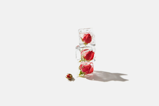 Ice cubes with red roses in stack