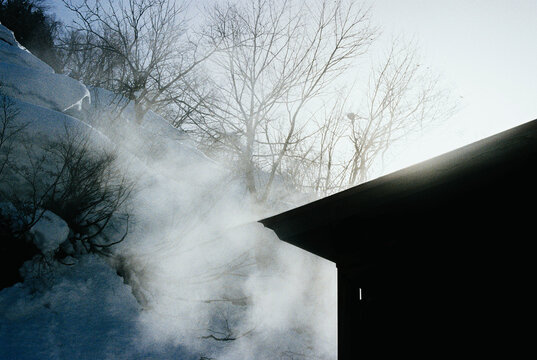 A Misty Scene