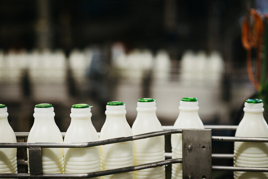 Plastic milk bottles in a milk factory