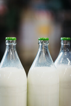 Milk bottles in a milk factory
