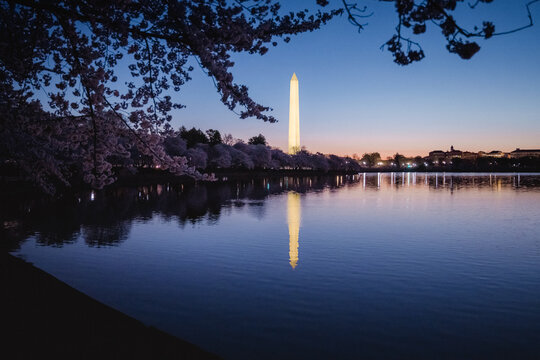 Washington Monument reflecting in the tidal basin
