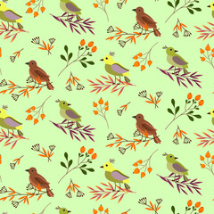 Pattern with forest birds on the branches. Forest grass and orange berries. Vector illustration on a colored background. For use in prints, packaging, covers, decor, shops and markets, invitations and