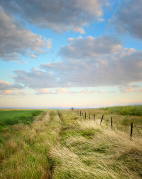 Prairie Landscape In Saskatchewan