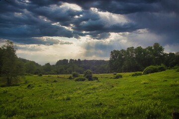 Field of clouds 