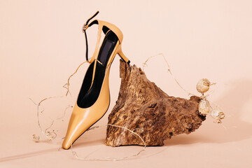  Still Life Shoes Composition
