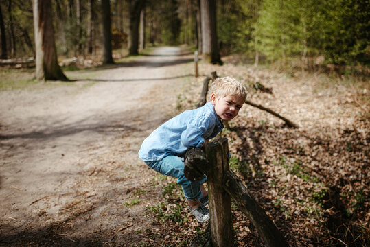 Little boy hanging on a wooden gate in the forest