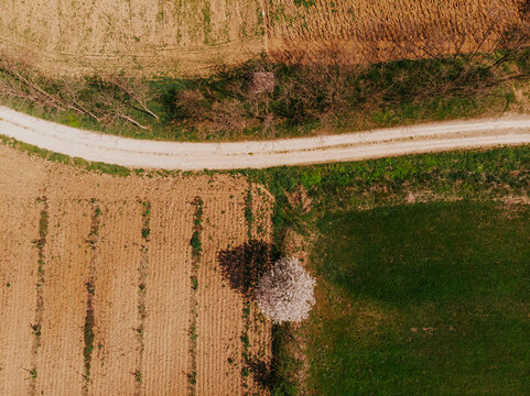 Countryside