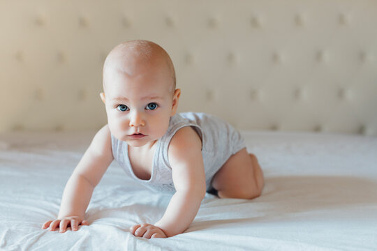 Crawling baby on the bed