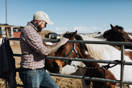 Rancher with Horses at Farm