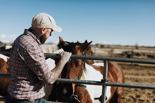 Rancher with Tattoo Pets Horse