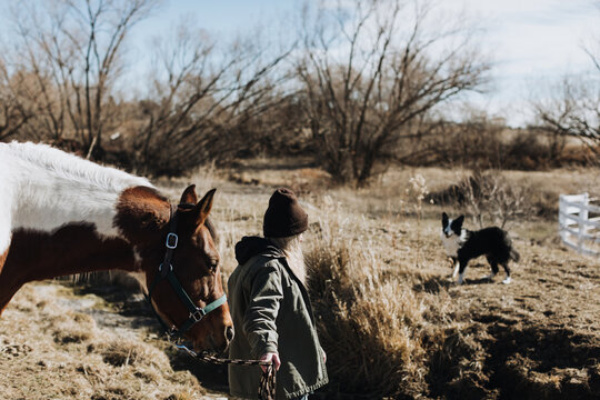 Woman with Horse and Dog on Farm