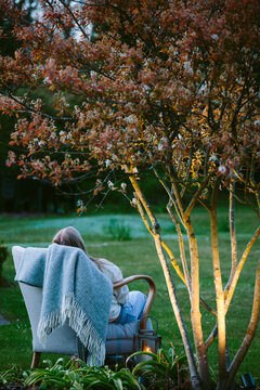 Garden at dusk