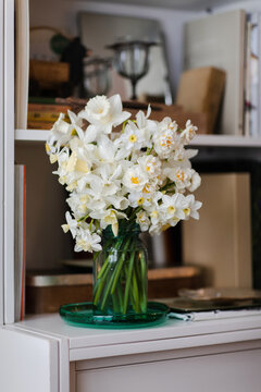 Daffodils bouquet on bookeshelf