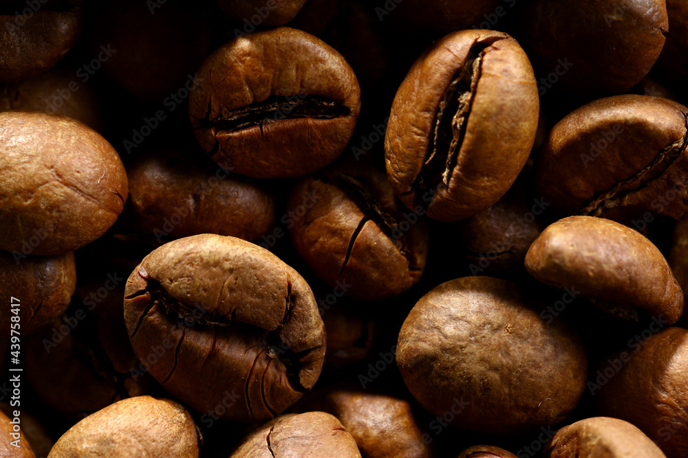 Wall mural texture of ground coffee beans