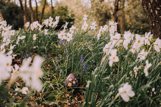 Hand-Decorated Easter Egg Amongst Spring Flowers