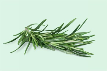 Fototapeta premium Rosemary.