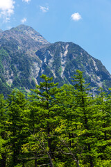 新緑の上高地から臨む明神岳