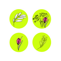 Vector illustration of a set of plant icons isolated. Leaves eco logo, icon, blank for designer