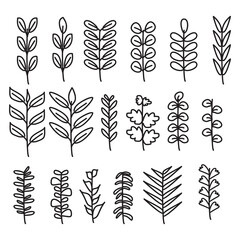 Fototapeta na wymiar vector, isolated, hand drawn plants, sketch, set, collection. leaf doodle