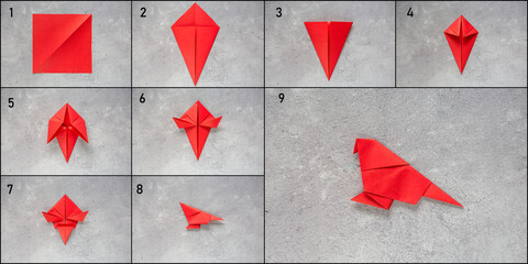 Instructions step by step origami parrot. children's creativity