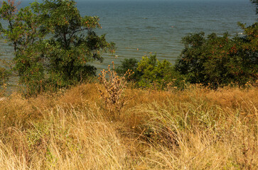 People swimming in the Azov sea at Kamenka beach. Russia, Sea of Azov, Krasnodar Territory, Yeysk.