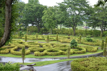 日本　群馬　中之条ガーデンズ　梅雨