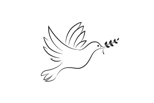 Dove bird symbol of peace free flying religious and spiritual sign sketch artwork logo vector image graphic design tattoo