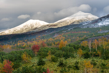 【北海道】十勝岳連峰の紅葉と雪景色