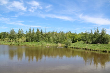 Fototapeta na wymiar Summers Land, Pylypow Wetlands, Edmonton, Alberta